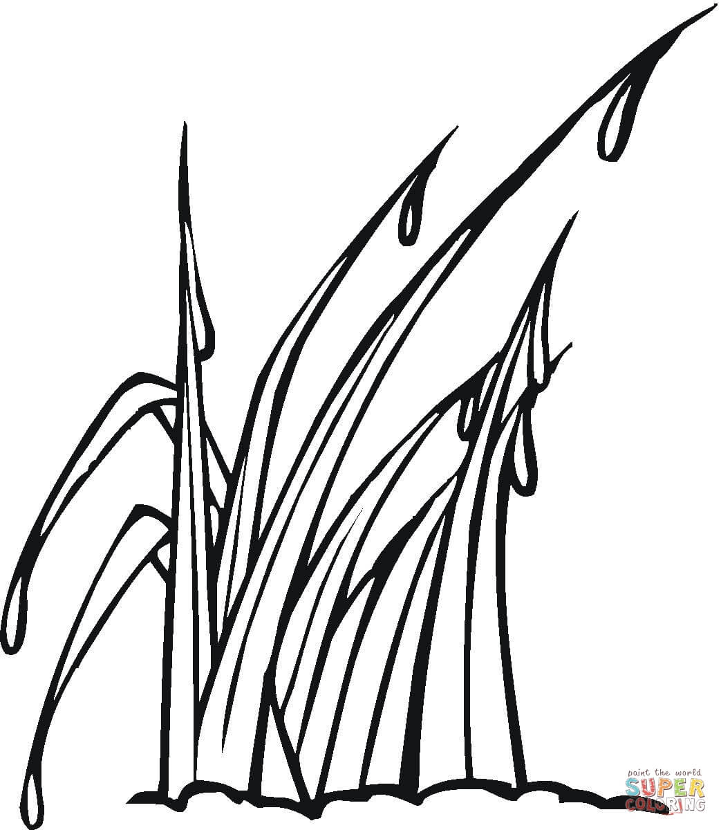 1043x1200 Grass Coloring Pages Downloads Page 61 On Gallery Ideas