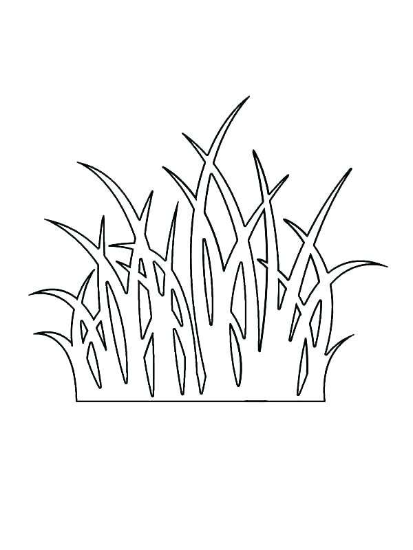 600x800 Grass Coloring Pages Flower Pinched Between Grass Coloring Pages
