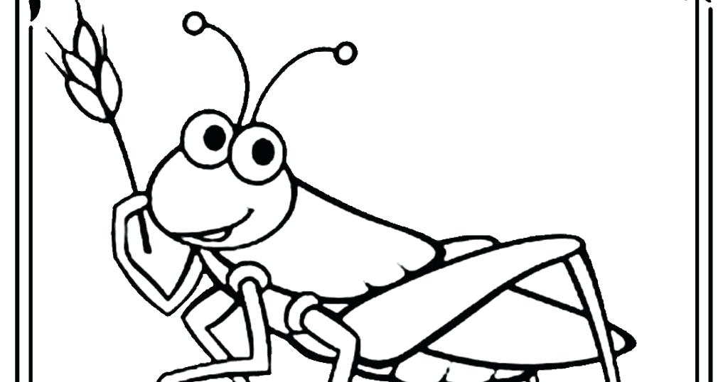 1024x538 Grasshopper Coloring Page Free Grasshopper Coloring Pages