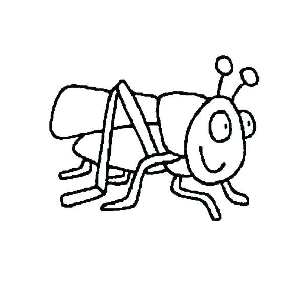 600x558 Grasshopper Coloring Page Grasshopper Coloring Pages Top Rated