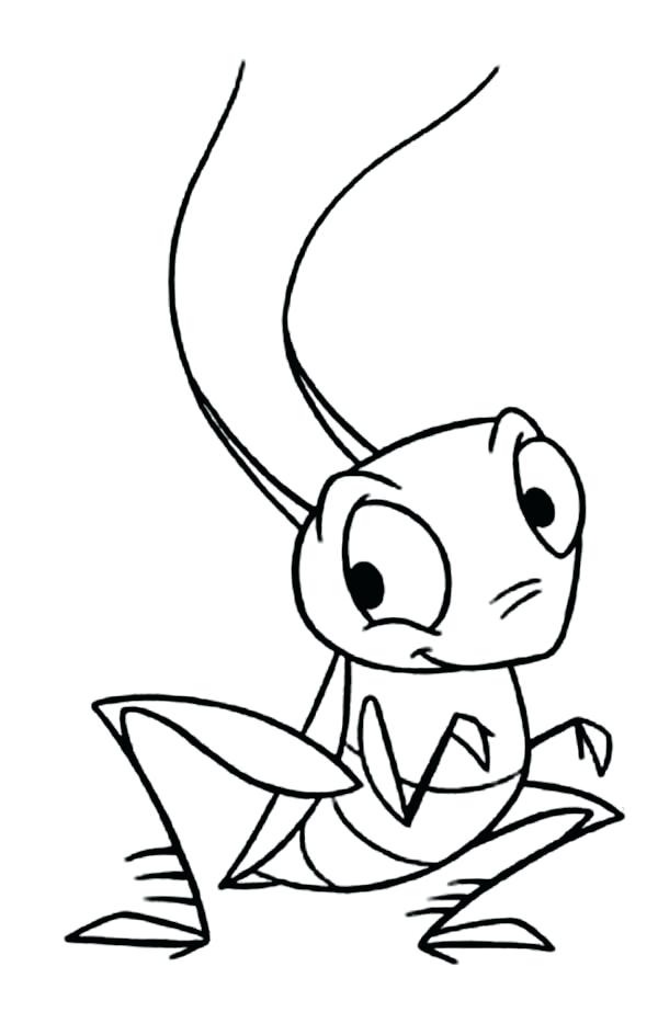 600x923 Grasshopper Coloring Page Little Grasshopper Coloring Page