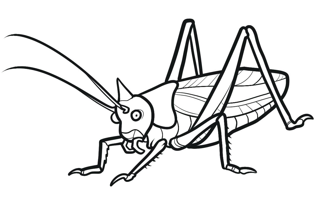 Grasshopper Coloring Page at GetColorings.com | Free printable ...