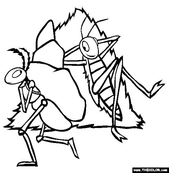 554x565 Coloring Pictures Of Ant Grasshopper Coloring Page Free Download