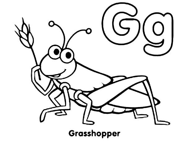 600x470 Grasshopper Coloring Page
