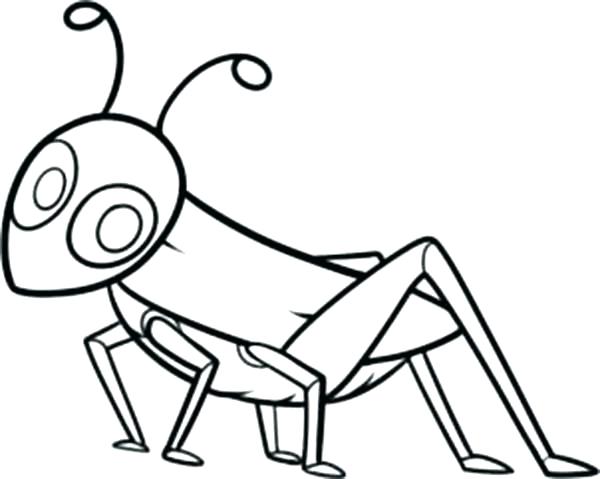600x479 Grasshopper Picture Coloring Page Wesmec.site