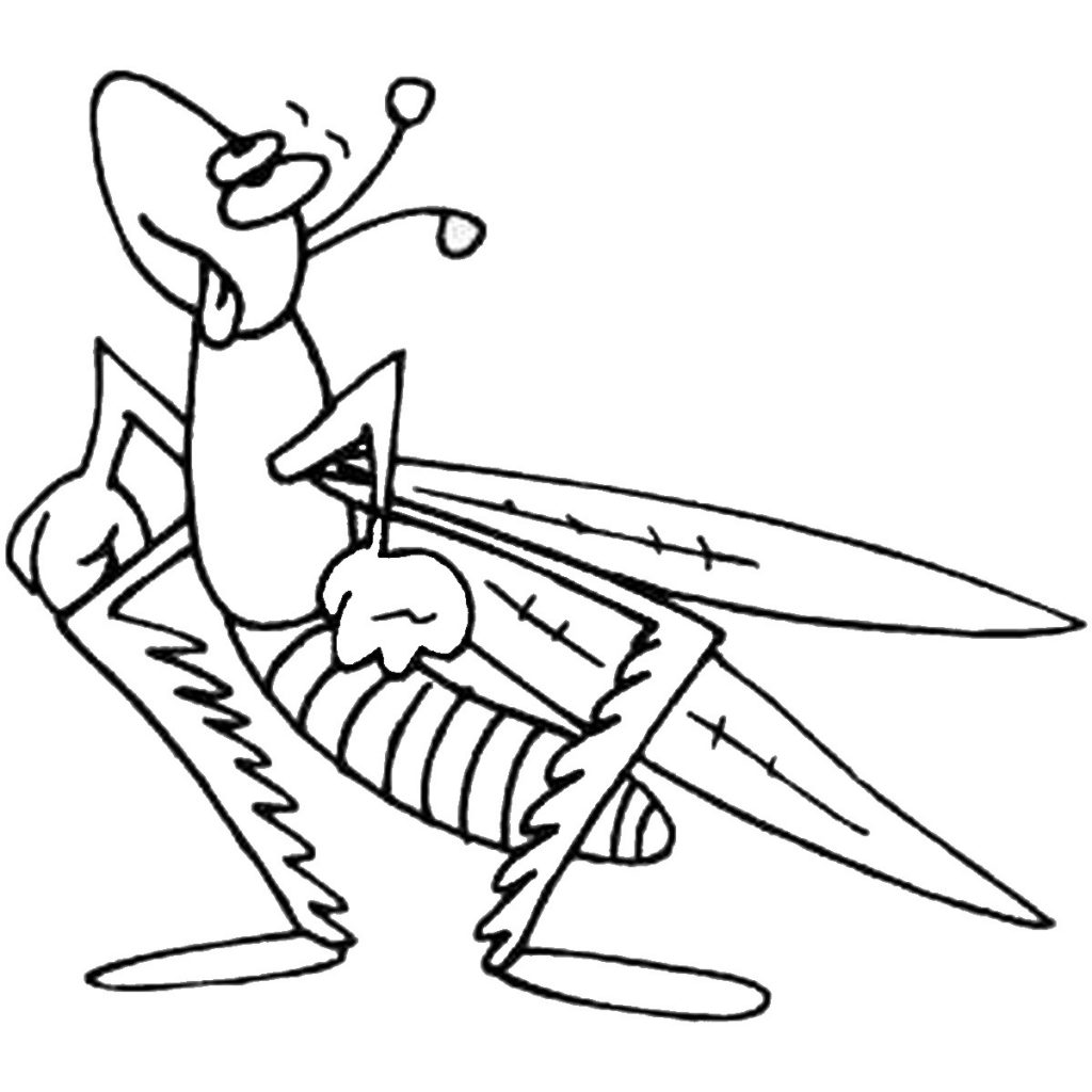 1024x1024 Grasshopper Coloring Page