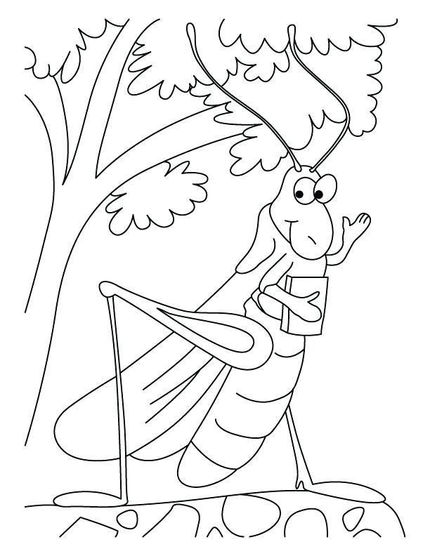 612x792 Grasshopper Coloring Page Grasshopper Coloring Page Grasshopper
