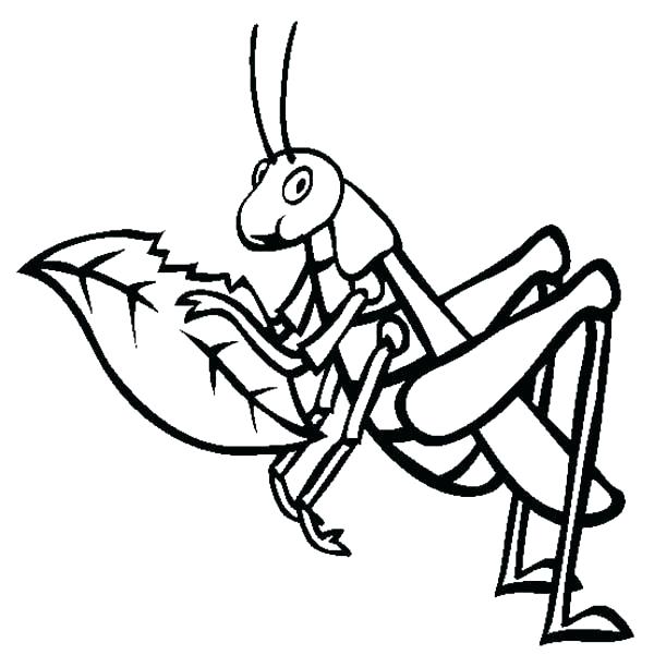 Grasshopper Coloring Pages For Kids at GetColorings.com | Free ...