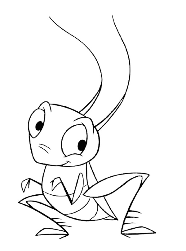 600x807 Grasshopper Coloring Pages For Kids