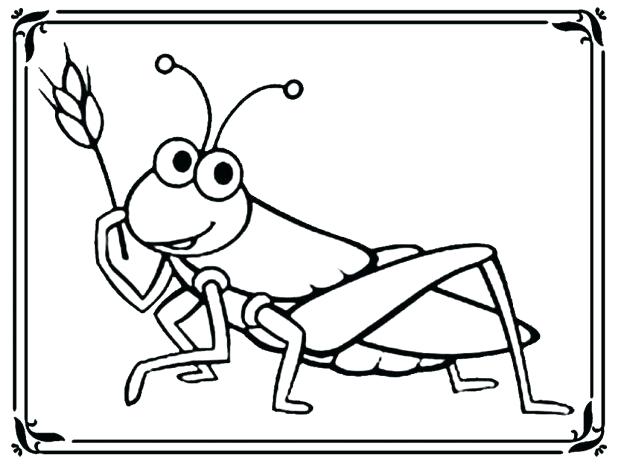 618x464 Grasshopper Coloring Pages Grasshopper Coloring Page Designs