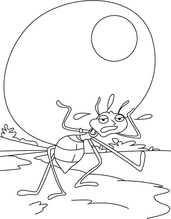 558x714 Grasshopper Coloring Pages Grasshopper Ring Page Happy Insect