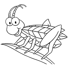 230x230 Top 17 Free Printable Bug Coloring Pages Online