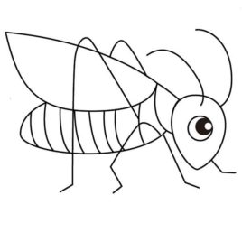 268x268 Cute Little Grasshopper Coloring Page Download Amp Print Online