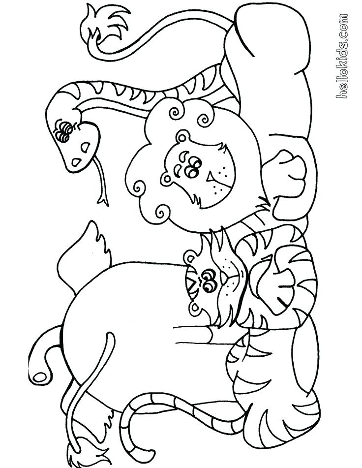 Grassland Coloring Pages The Big Five On Animals Coloring Pages 736x951 Grassland Coloring Pages The Big Five On Animals Coloring Pages