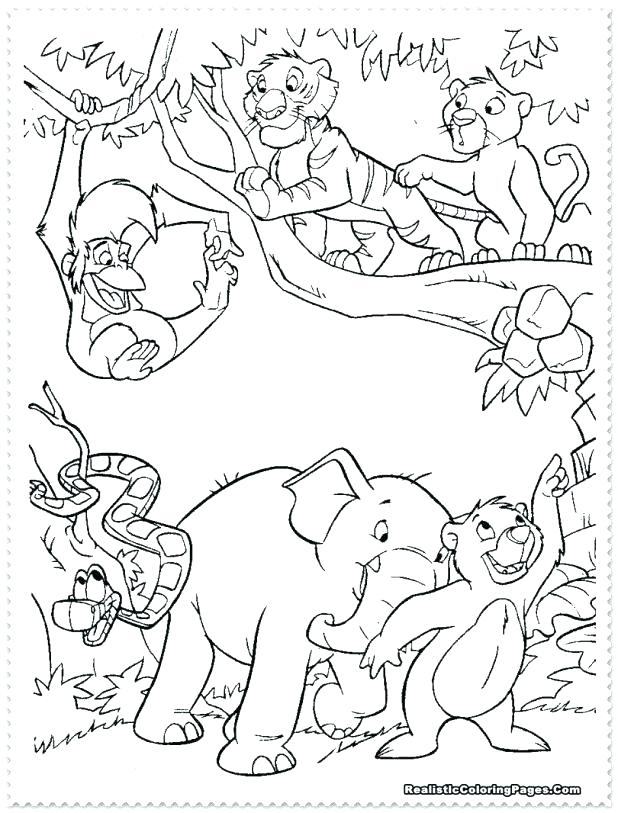 Wildlife Coloring Pages Wildlife Coloring Pages Medium Size 618x813 Wildlife Coloring Pages Wildlife Coloring Pages Medium Size