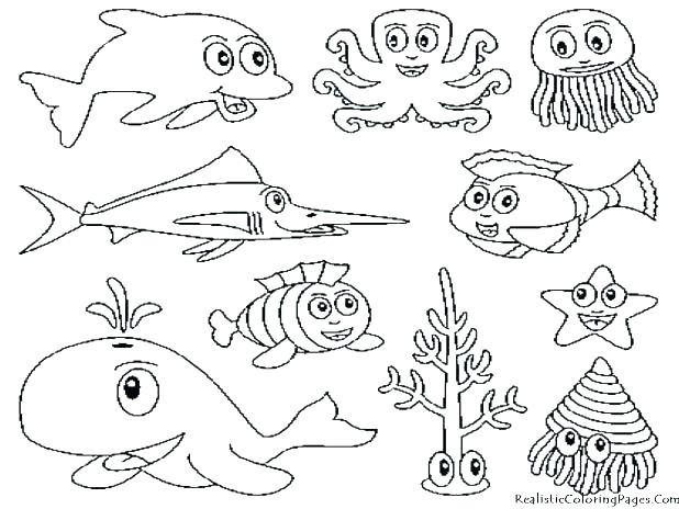 Coloring Page Animals Jungle Animals Coloring Page Jungle Animals 618x464 Coloring Page Animals Jungle Animals Coloring Page Jungle Animals