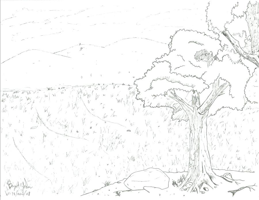 900x695 Grassland Coloring Pages Grassland Valley By Grassland Habitat