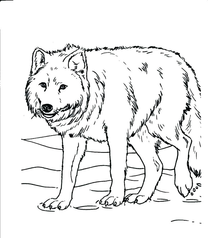 728x833 Grassland Coloring Pages