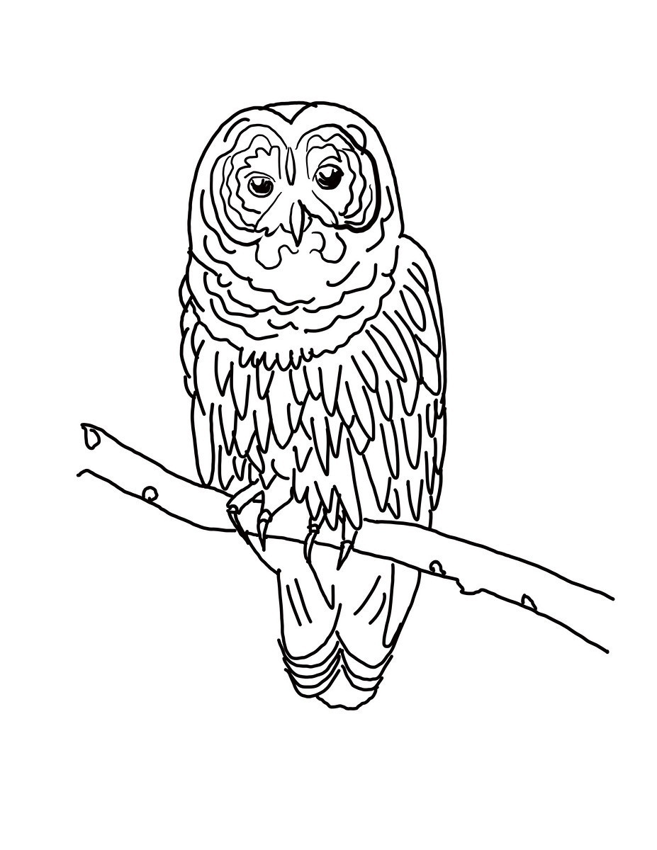 Gray Coloring Pages