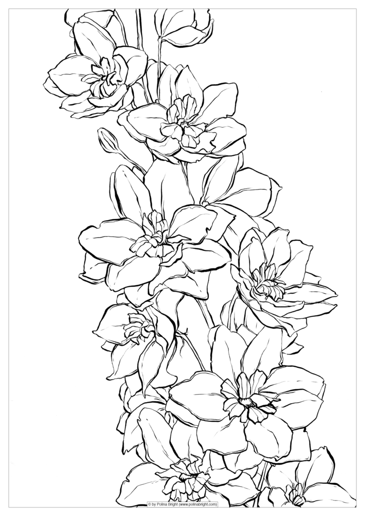 Set Of Watercolor Coloring Pages Polina Bright Art 724x1024 Set Of Watercolor Coloring Pages Polina Bright Art