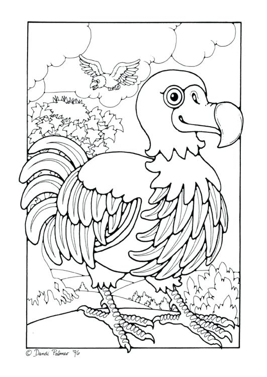 Dodo Animal Coloring Pages Coloring Page Dodo Color Ideas For Grey 531x750 Dodo Animal Coloring Pages Coloring Page Dodo Color Ideas For Grey