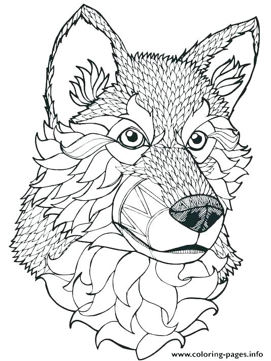 534x712 Grey Wolf Coloring Pages Best Angry Wolf Coloring Pages Free Grey