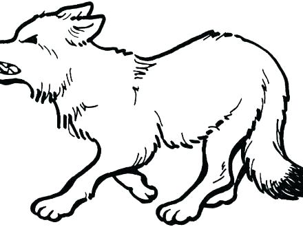 Gray Wolf Coloring Page at GetColorings.com | Free printable colorings ...