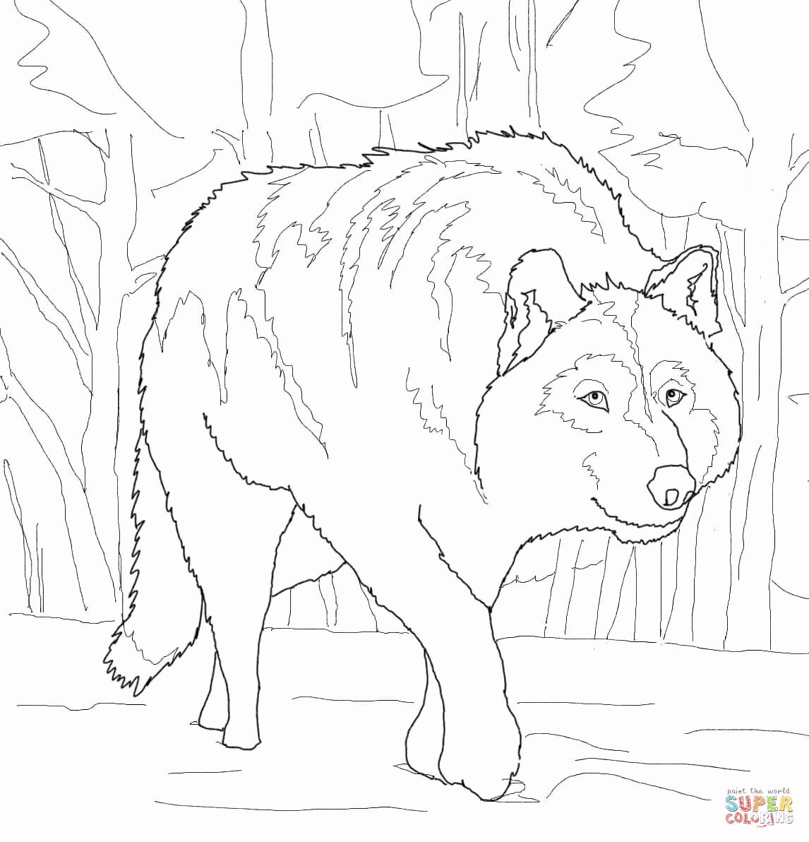 1146x1192 Wolf Coloring Pages For Adults Fresh Gray Wolf Drawing