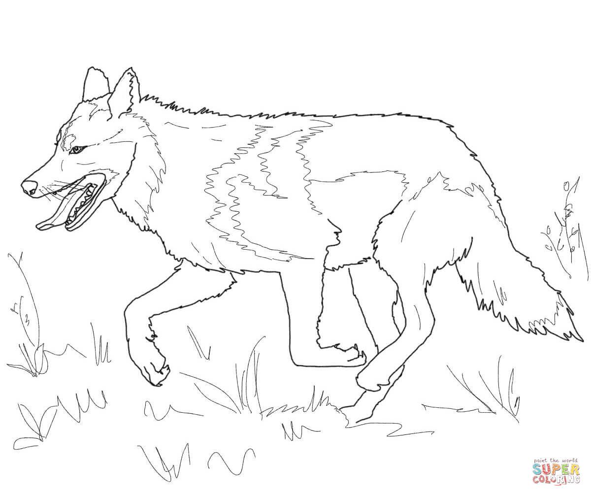 1200x1007 Running Mexican Grey Wolf Coloring Page.jpg 4th