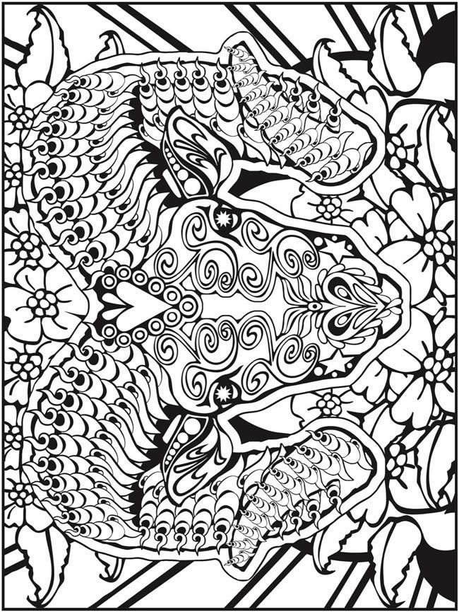 650x865 782 Best Animal Colouring Images On Coloring Books