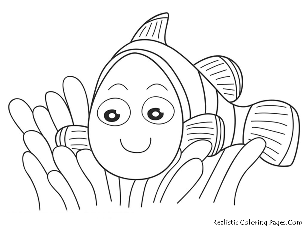 1024x768 Coral Reef Coloring Pages