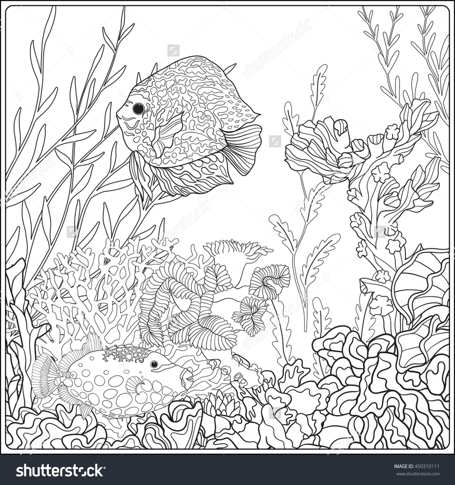 Great Barrier Reef Coloring Page at GetColorings.com | Free printable ...