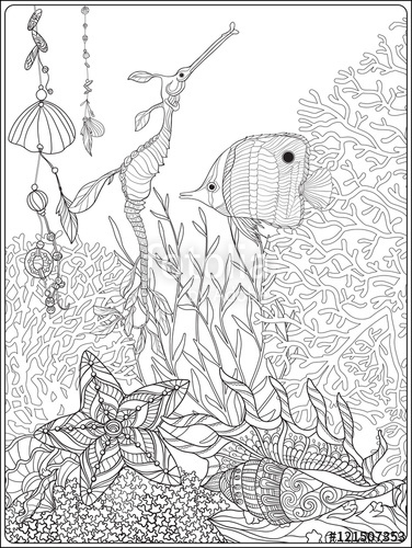 376x500 Great Barrier Reef Coloring Book