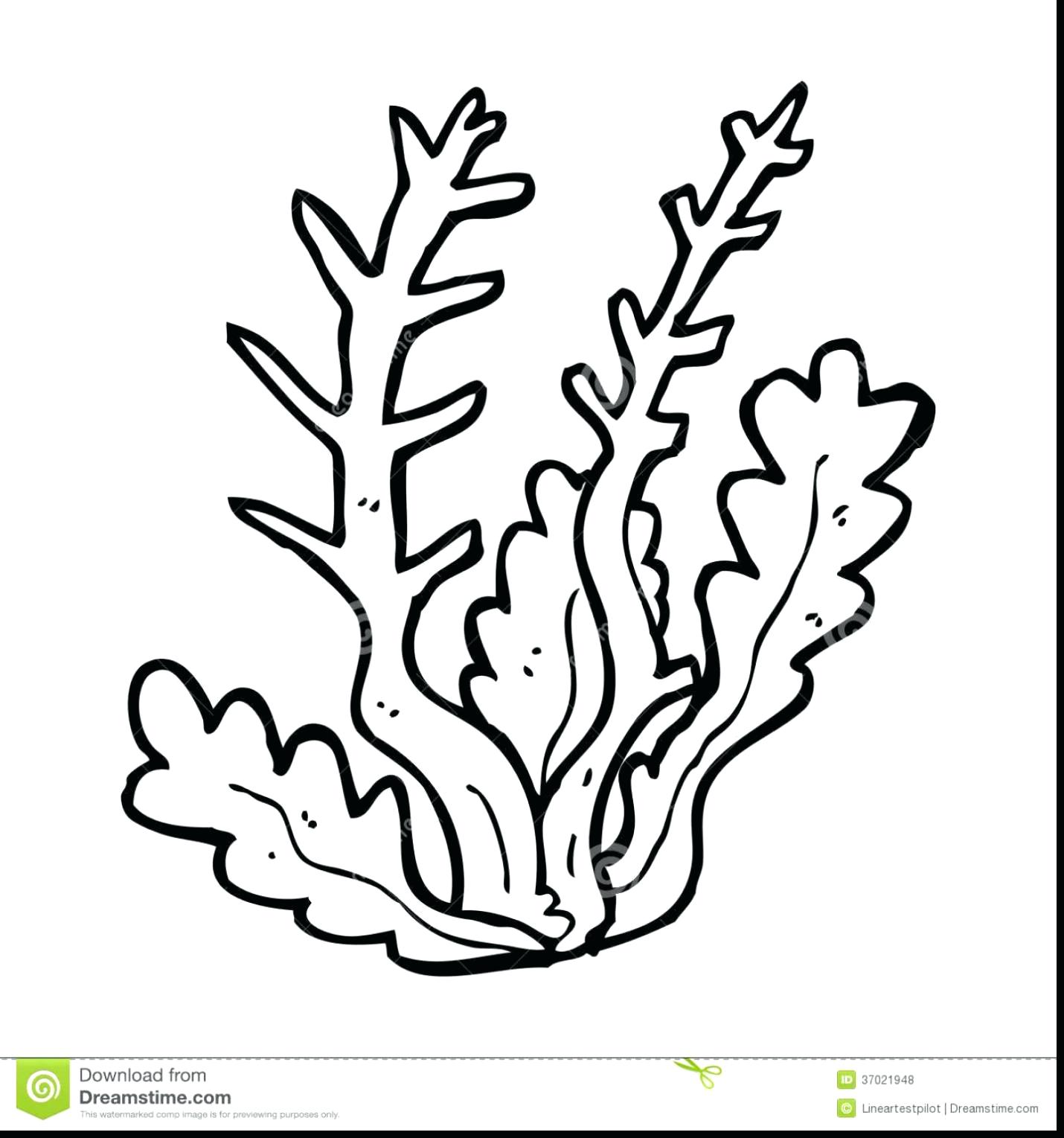 1430x1529 Coloring Page ~ Coral Reef Coloring Pages Great Barrier Printable