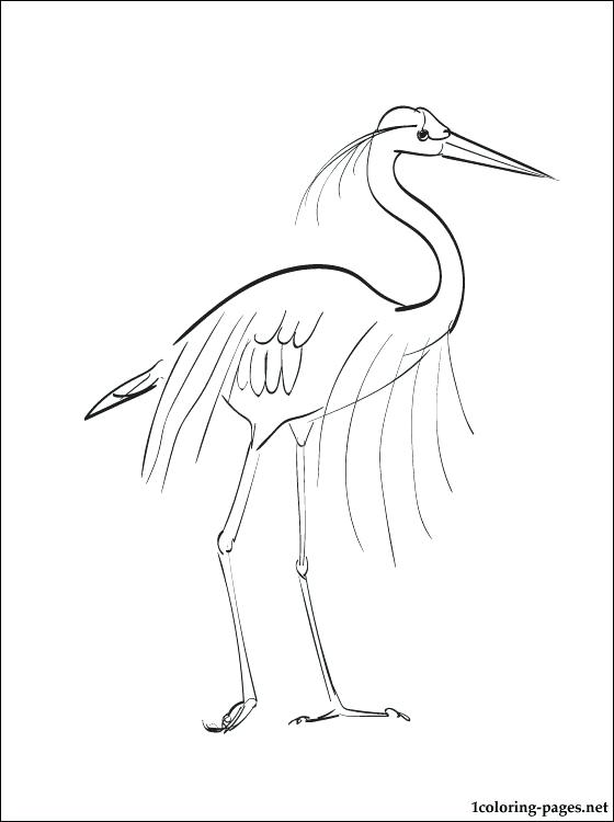 Coloring Page Great Blue Heron Coloring Pages Blue Heron Coloring 560x750 Coloring Page Great Blue Heron Coloring Pages Blue Heron Coloring