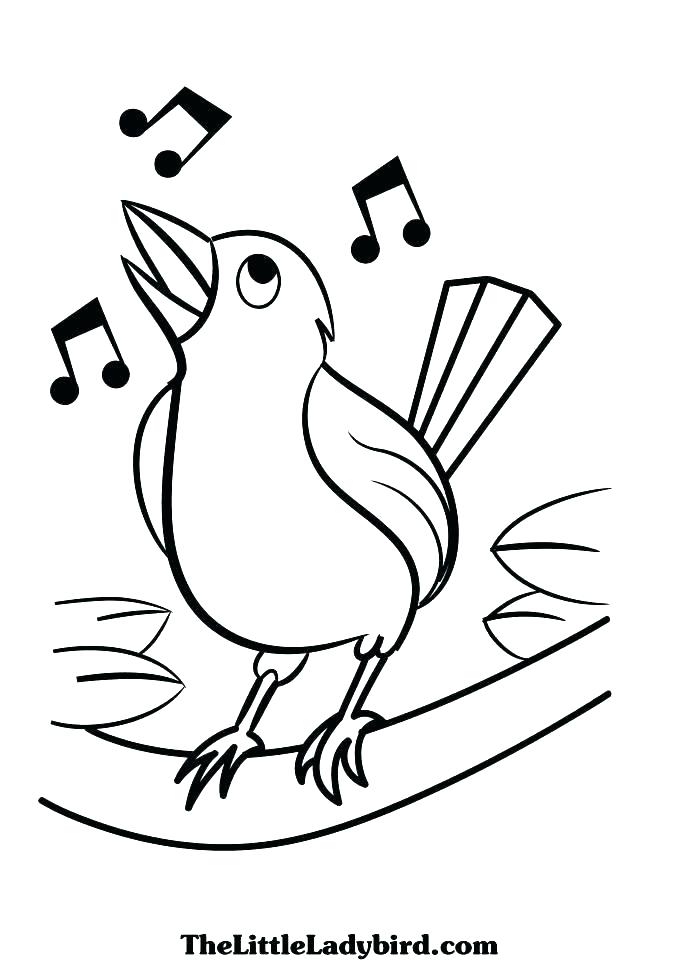 Great Blue Heron Colouring Page Coloring Bird Owls Animal Angry 678x960 Great Blue Heron Colouring Page Coloring Bird Owls Animal Angry