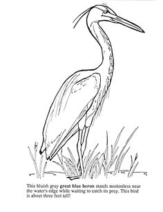 Image Result For Heron Drawing Spring Flowers Blue 236x306 Image Result For Heron Drawing Spring Flowers Blue