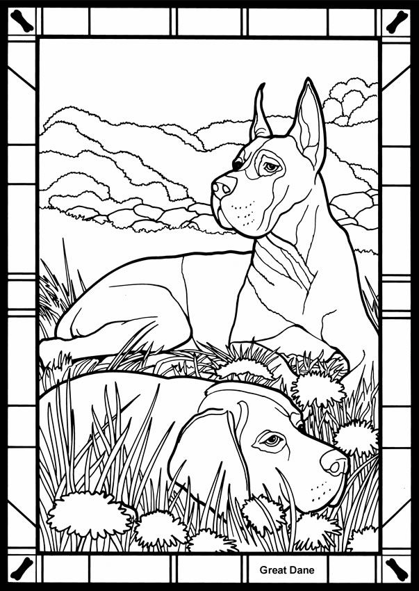 603x850 Great Coloring Pages Great Dane Coloring Pages Many Interesting