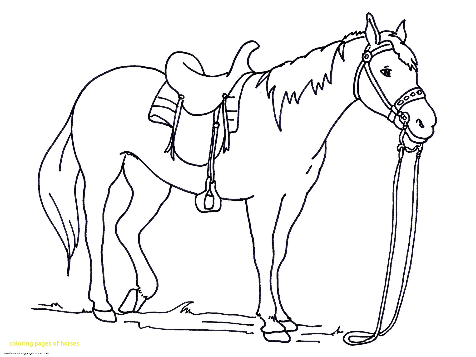 2000x1500 Great Coloring Page Of A Horse Pages Horses With Printable Free