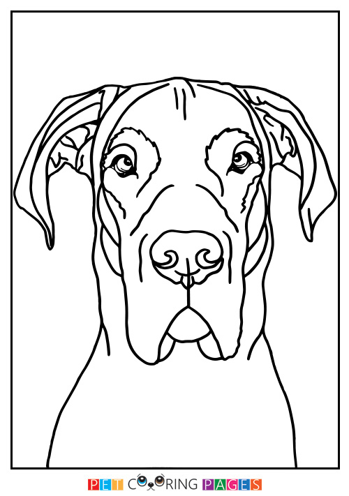 500x711 Great Dane Coloring Page Moose