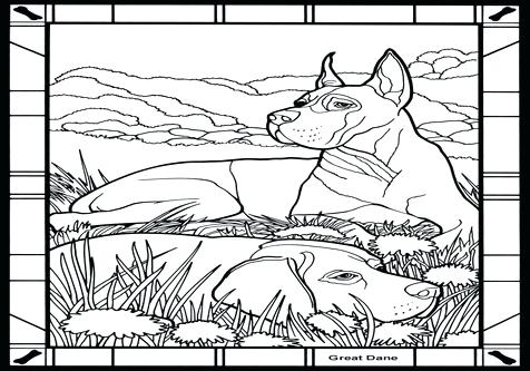 476x333 Great Dane Coloring Pages Dogs Great Mammals Coloring Pages