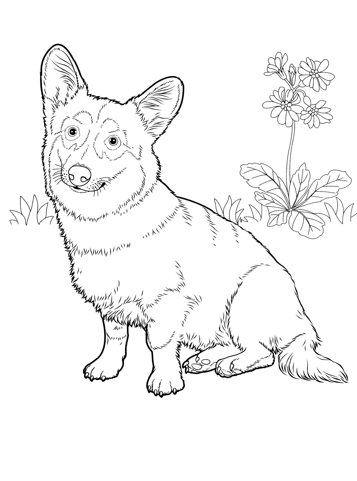 1473x1983 Dog Coloring Pages 28 Teenagers Coloring Pages Adult Coloring