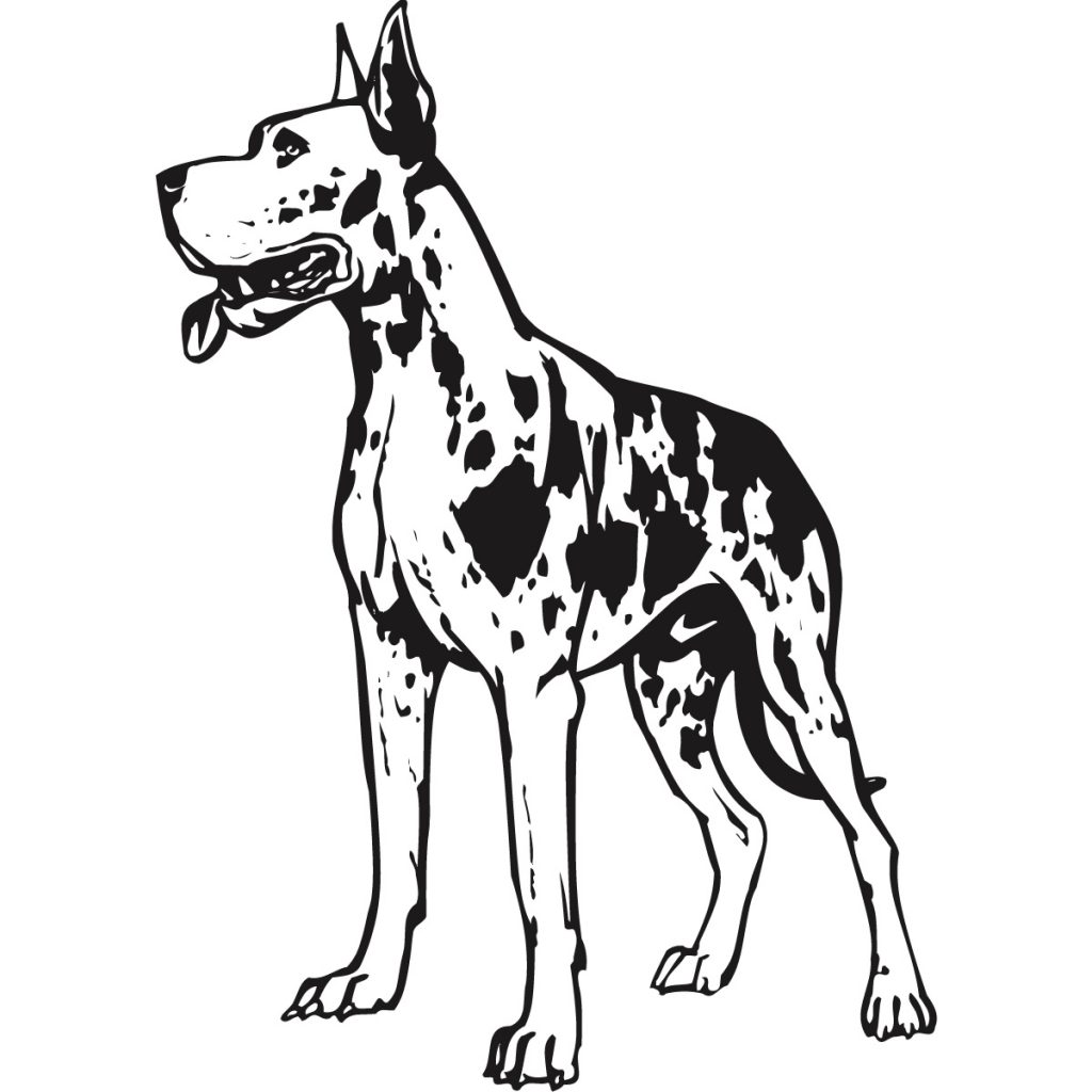1024x1024 Great Dane Coloring Pages 1200 High Definition Umcubed Great Great