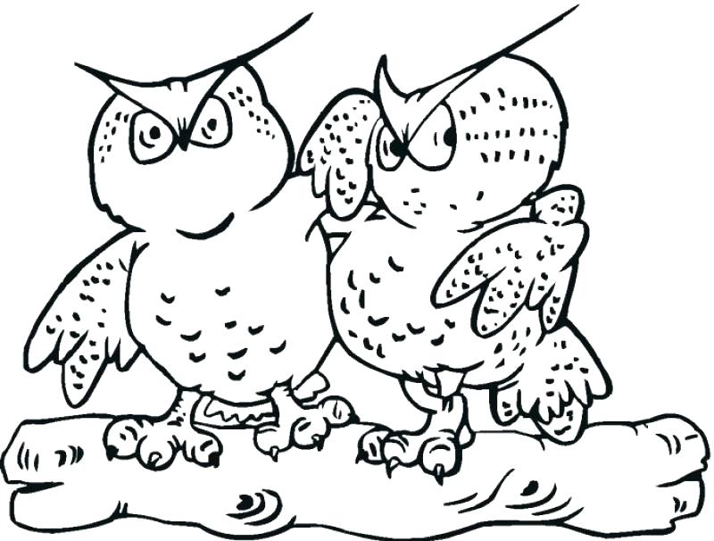 Great Horned Owl Coloring Page Coloring Pages For Kids To Print 800x606 Great Horned Owl Coloring Page Coloring Pages For Kids To Print