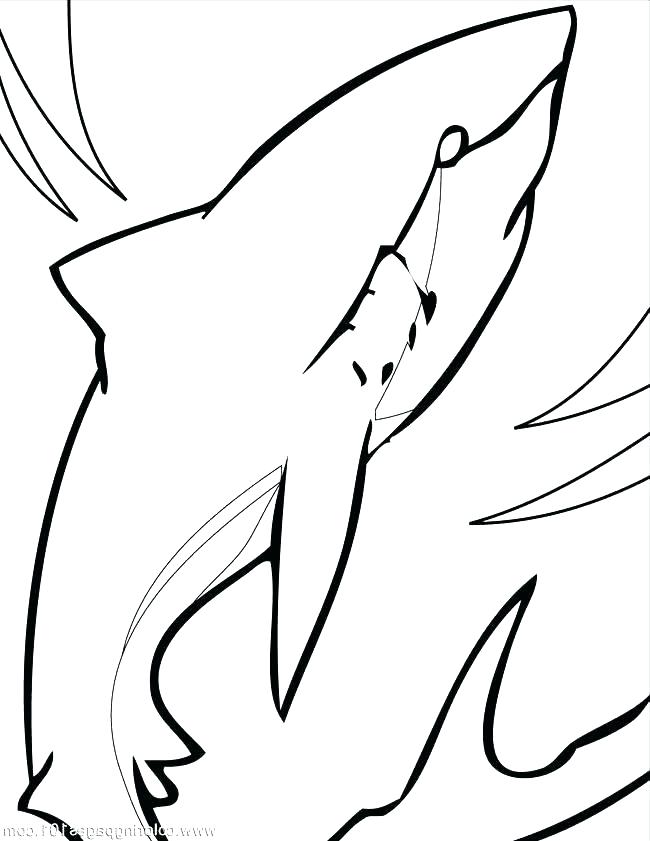 650x841 Megalodon Shark Coloring Pages Shark Coloring Pages Shark Coloring