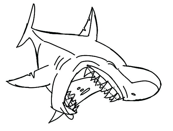 600x456 Shark Color Pages Jaws Coloring Pages Pics Shark To Color Shark