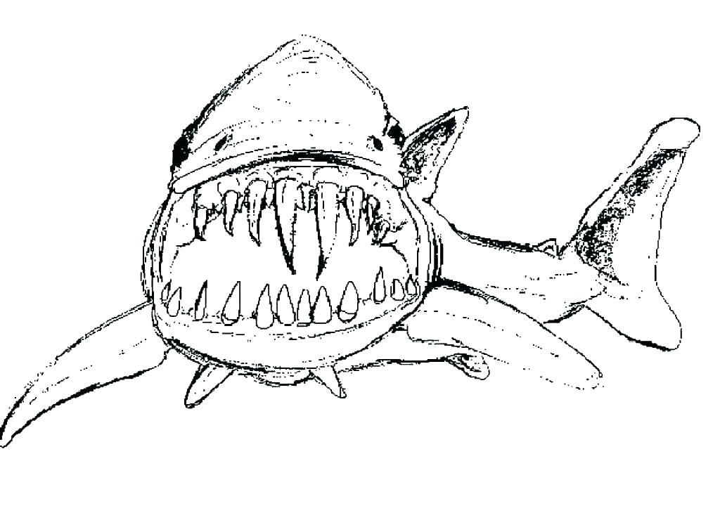 1024x740 Printable Shark Coloring Pages Luxury Great White Shark Coloring
