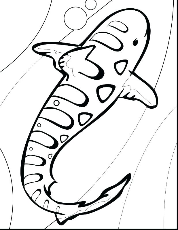 618x800 Great White Shark Coloring Page