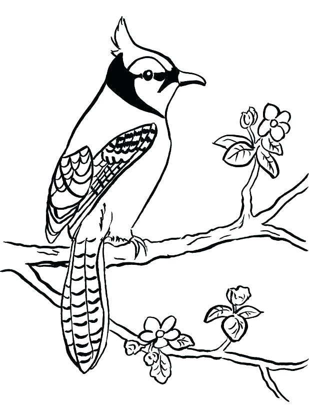 Dr Seuss Free Coloring Pages Coloring Pages Green Eggs And Ham 618x815 Dr Seuss Free Coloring Pages Coloring Pages Green Eggs And Ham