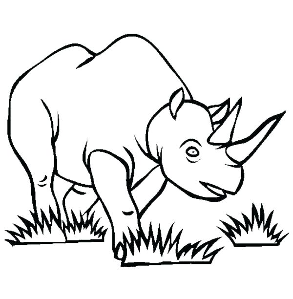 600x612 Rhinoceros Coloring Pages Drawn Rhino Coloring Colouring Pages